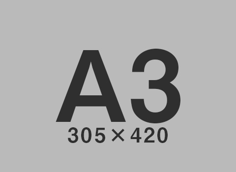 A3